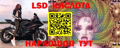 спайс Кандалакша