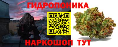 спайс Кандалакша