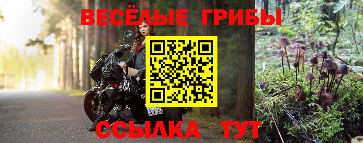 Псилоцибиновые грибы Magic Shrooms  наркотики  Магнитогорск  Вход с VPN 